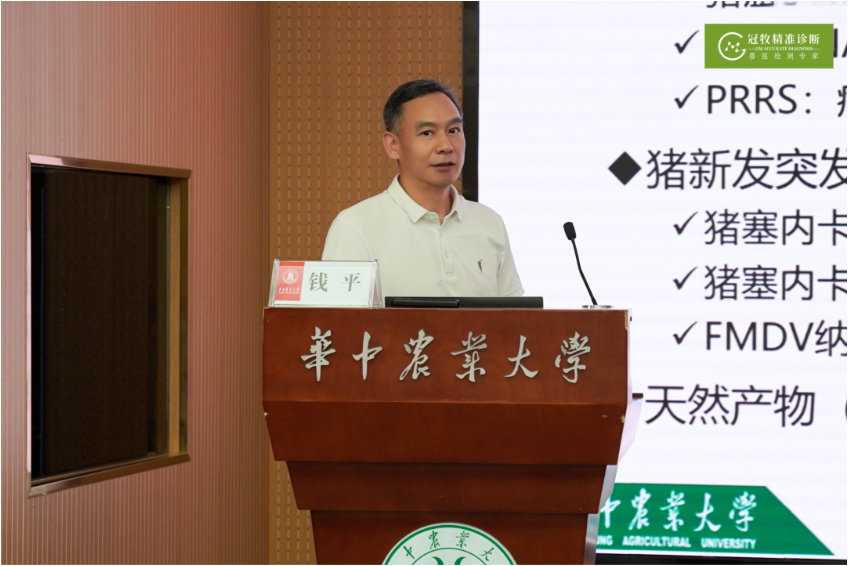 华中农业大学钱平教授讲解PRRS综合防控